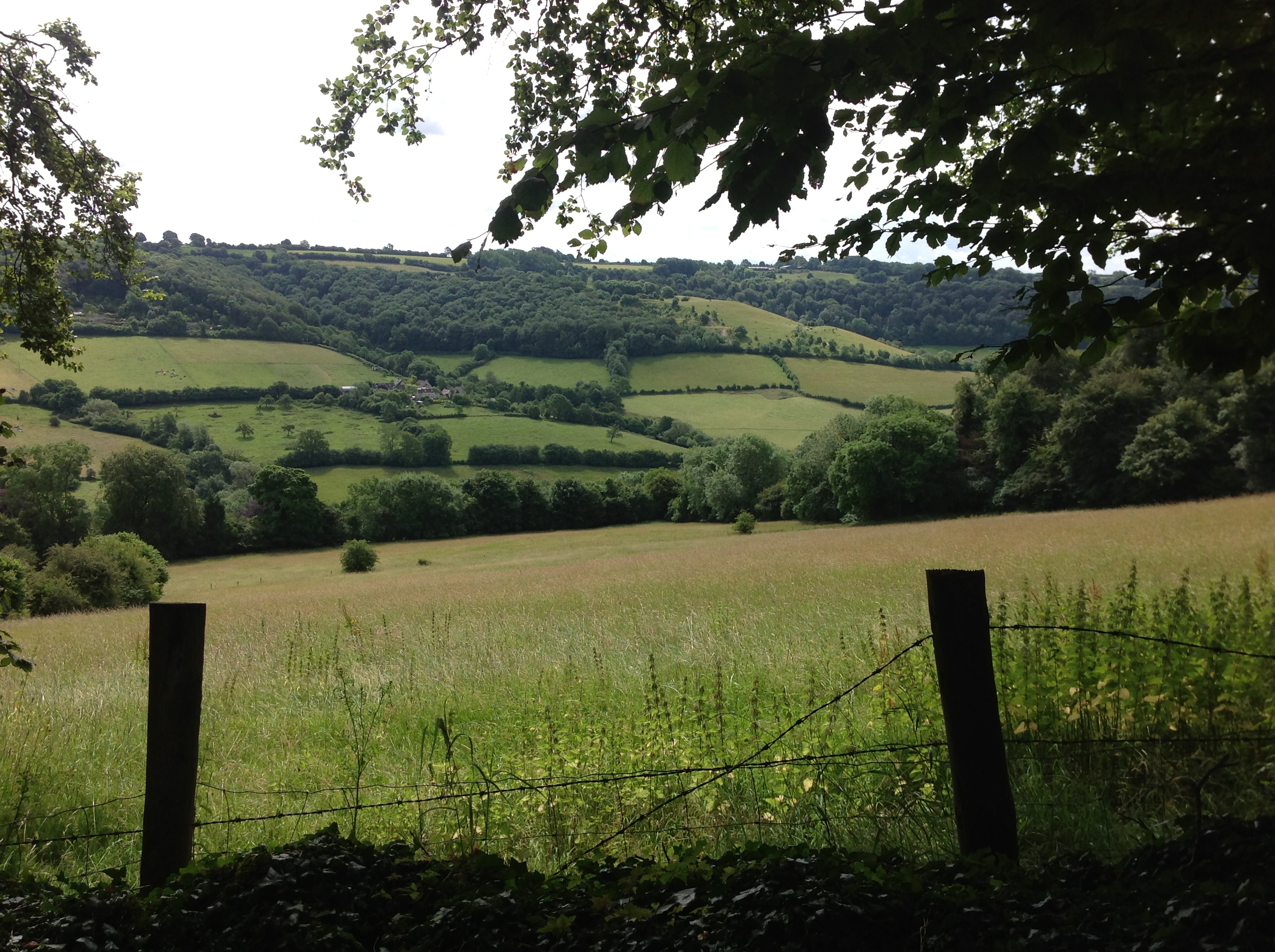 The Deserter in Cider with Rosie: Questions